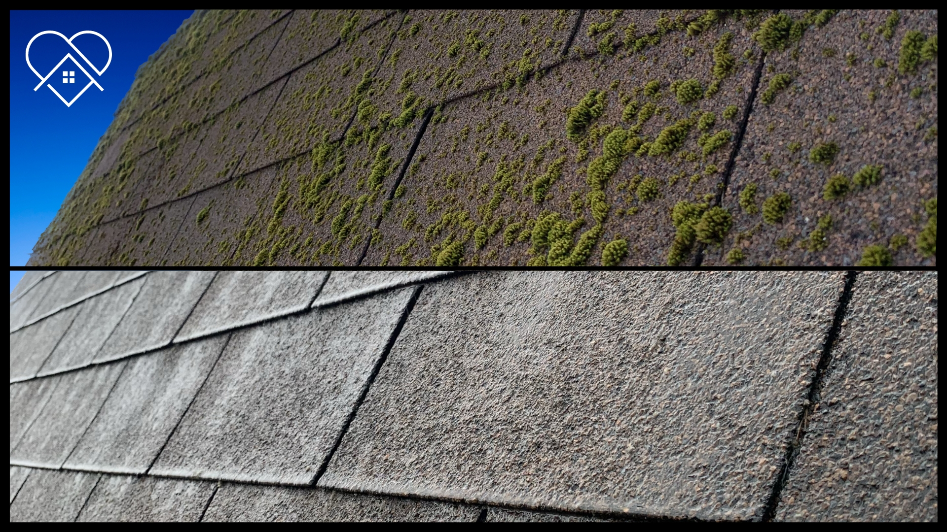 "Roof cleaning service in Nova Scotia: Moss-covered roof before and after cleaning."