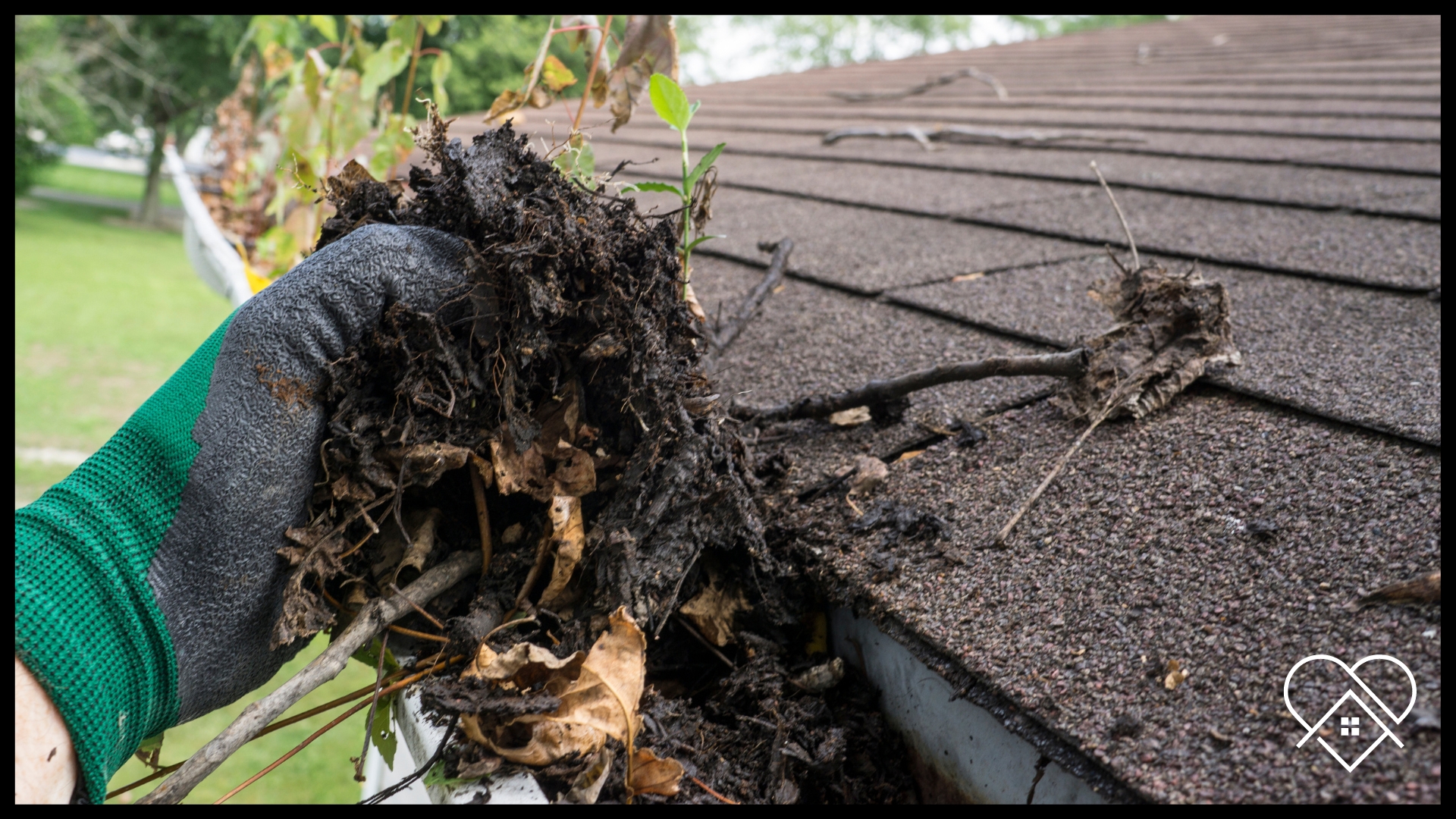 "Gutter cleaning service in Nova Scotia: Hand cleaning of dirty gutters."