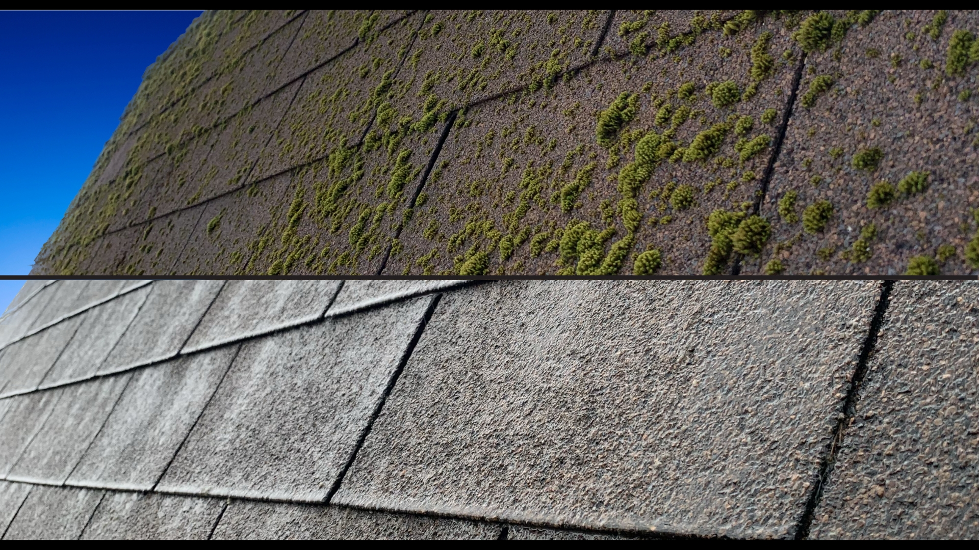 Roof with moss on and removed. Roof cleaning, and cleaned. No power wash, soft wash method, withing Halifax Nova Scotia.